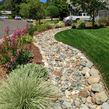 Front Yard Renovation: Cottage garden