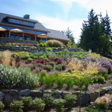 Landscaping Hill Area