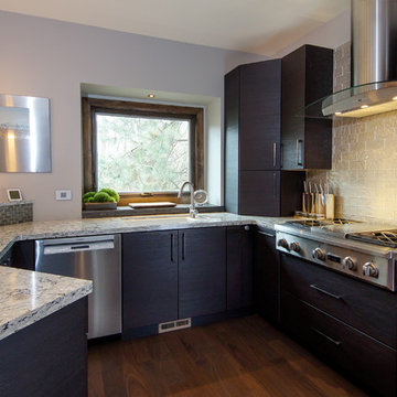 Modern Zen Kitchen Westmont