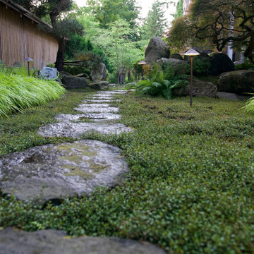 Moss gardens