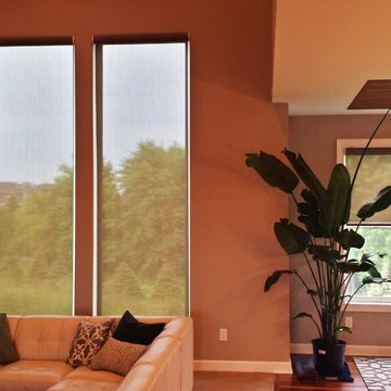 Motorized Cassette Roller Screen Shades