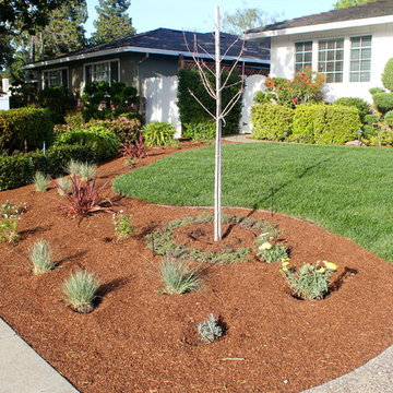 Our Work