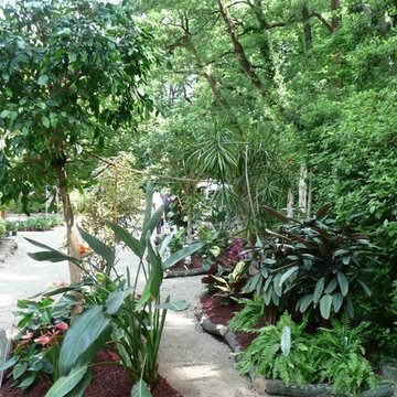 ROCK GARDEN