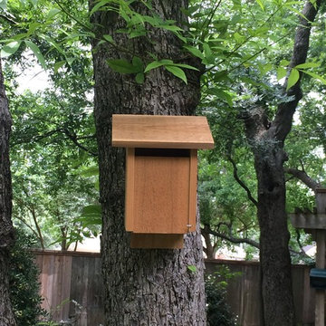 Blue Bird, Songbird, Swallow & Wren Houses