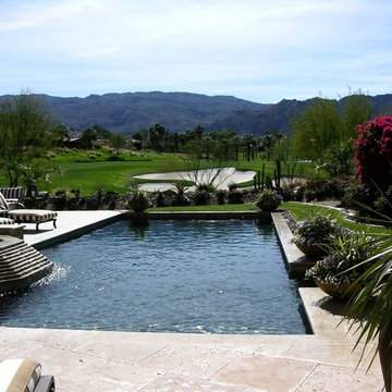 Pool, Spa, Deck and Landscape Remodel