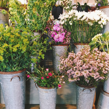G A R D E N - Cut flower farms + gardens