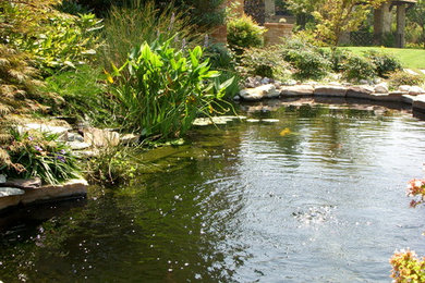 Photo of a mediterranean landscaping in Other.