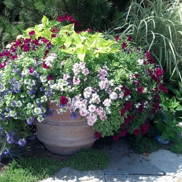 Container Gardens