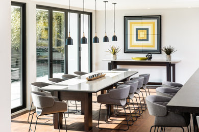 Dining room - contemporary dining room idea in Orlando