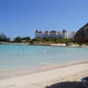 Laura Peticca's photo