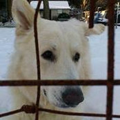 Lance Pace's photo