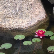 Teresa Schreck's photo