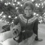 Lori Gingrichs billede