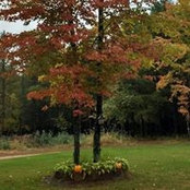 Steve Gehring's photo