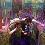Amie C's photo