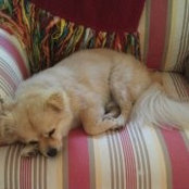 Teddie McMahon's photo