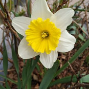 Michelle Aarts's photo