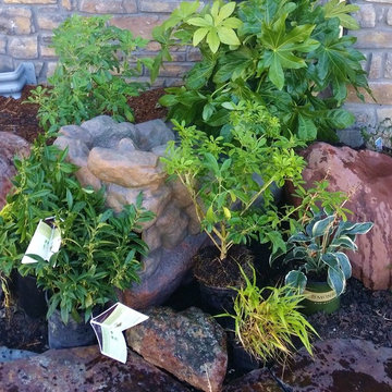 Mission Impossible MakeOver! Specimen Trees & Patio Down Extreme Slope