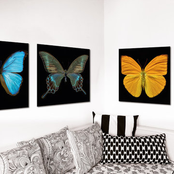 Living Room Styling