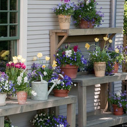 Spring Rotations - Plants