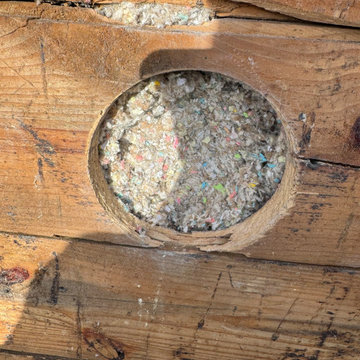 Blown-In Insulation on Exterior Walls