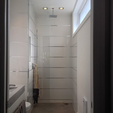 ShowerGuard UltraWhite Frameless Enclosure