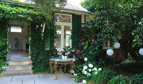 Hitzeschutz mit Photosynthese – 14 grüne Tipps