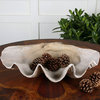 Osborne Loke - 22.88 inch Shell Bowl - 22.88 inches wide by 13.38 inches deep