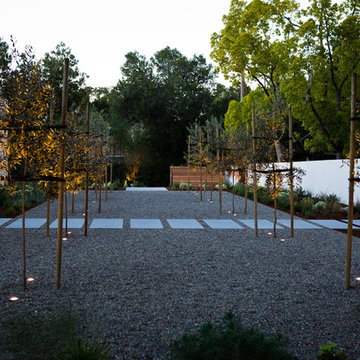 LawnLess in Los Altos Hills