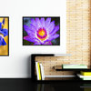 Purple Lotus Flower Print on Canvas with Picture Frame, 13"x17"