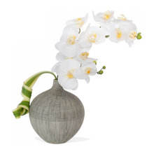 Great Room Orchid