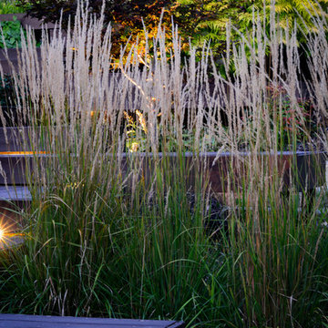 Modern Hillside Entry and Sculpture Garden