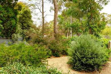 メルボルンにある低価格の中くらいなおしゃれな庭の写真