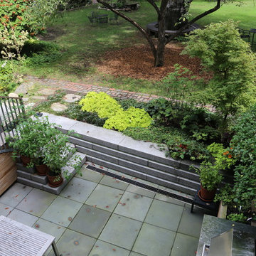 South End Urban Shade Garden