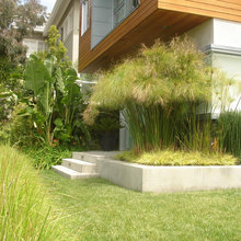 SL Landscape