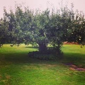 Neşe Kcby Turhan's photo