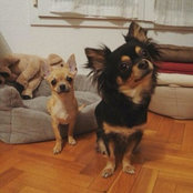 Noemie Perrine's photo