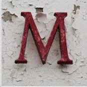 Meg Mowery's photo