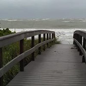 Carolyn Hoffman Cooper's photo