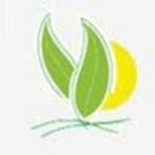 National Printers's photo