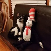 Cathy Boylan's photo
