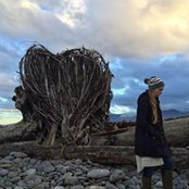 Megan Lindstrom's photo