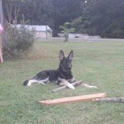 Foto de Vicki Hauser
