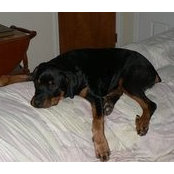 Susan Yager's photo