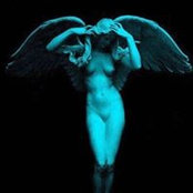 Alex Wolfe's photo