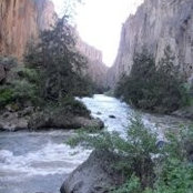 Will Henggeler's photo
