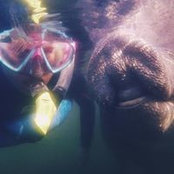 Lauren Willis's photo
