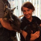 Diana Kohnke's photo