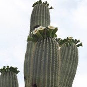 Diane Devlin's photo
