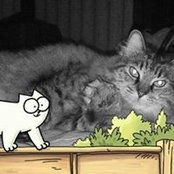 Sharon Breslin's photo